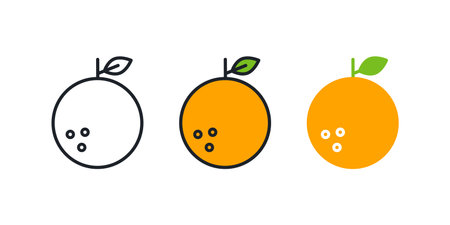 Orange icon. Linear color icon, contour, shape, outline. Thin line. Modern minimalistic design. Vector set. Illustrations of fruitsのイラスト素材