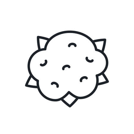 Cauliflower icon. Vector linear icon, contour, shape, outline isolated on a white background. Thin line. Modern minimalistic design. Vegetablesのイラスト素材
