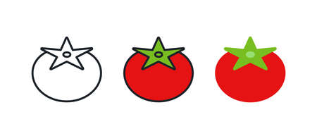 Tomato icon. Linear color icon, contour, shape, outline isolated on white. Thin line. Modern design. Vector set. Illustrations of vegetables.のイラスト素材