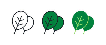 Spinach icon. Linear color icon, contour, shape, outline isolated on white. Thin line. Modern design. Vector set. Illustrations of vegetables.のイラスト素材