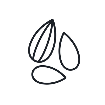 Almond icon. Vector linear icon, contour, shape, outline isolated on a white background. Thin line. Modern design. Healthy food and vitaminsのイラスト素材