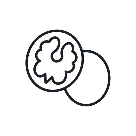 Walnut icon. Vector linear icon, contour, shape, outline isolated on a white background. Thin line. Modern design. Healthy food and vitaminsのイラスト素材