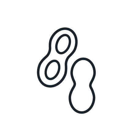 Peanuts icon. Vector linear icon, contour, shape, outline isolated on a white background. Thin line. Modern design. Nutsのイラスト素材