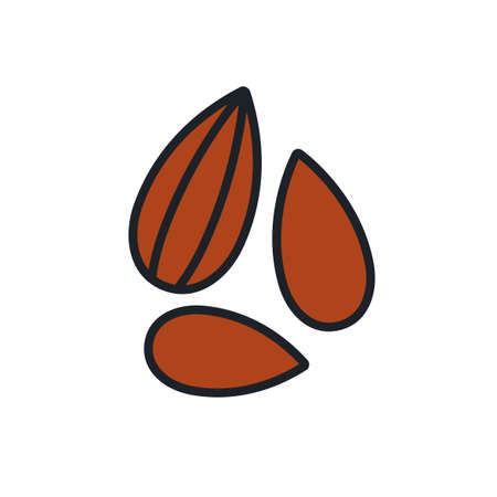 Almond icon. Linear color icon of nuts, contour, shape, outline isolated on white. Thin line. Modern design. Healthy food and vitaminsのイラスト素材