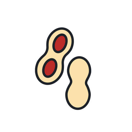 Peanut icon. Linear color icon of nuts, contour, shape, outline isolated on white. Thin line. Modern design. Healthy food and vitaminsのイラスト素材