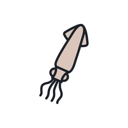 Squid icon. Vector isolated linear color icon contour shape outline. Thin line. Modern glyph design. Meat products fish and sea food. Marine lifeのイラスト素材