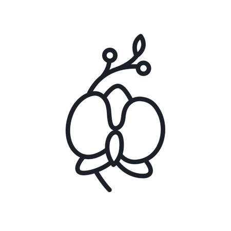 Orchid icon. Home flowers isolated vector icon. Home gardeningのイラスト素材