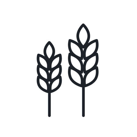 Wheat icon. Wheat spikelets isolated line iconのイラスト素材