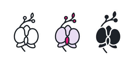 Orchid icon. Home flowers isolated vector icon. Home gardeningのイラスト素材