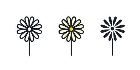 Chamomile icon. Vector isolated field flower iconのイラスト素材