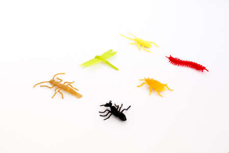 plastic toy insect, orange beetle tick, green caterpillar, red centipede or millipede, black ant , isolated, close up.の写真素材