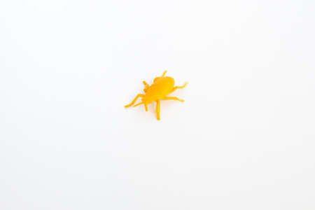 plastic toy insect - orange beetle or tick on the white background, isolated, close up.の写真素材
