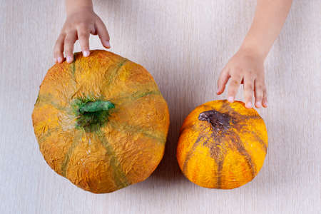 childrens hands hold a homemade orange papier-mache pumpkin for Halloween on a table, Flatleyの写真素材