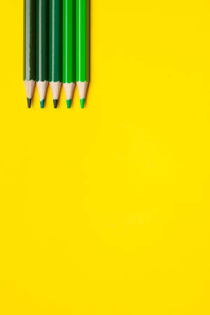 vertical green sharp wooden pencils on a bright yellow background, isolated, copy space, mock upの写真素材