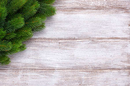 Mock up of Christmas tree branches with space for text