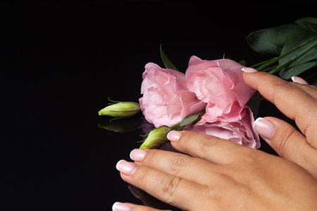 two female hands on three pink flowers lisianthus or eustoma with an unopened bud on a black...