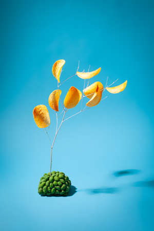 creative food photo of chips and peanuts in wasabi, the concept of leaves made of chips, a tree made...