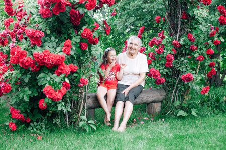 naughty cheerful five-year-old girl laughs on a bench with an old grandmother in the garden near the rose bushesの写真素材