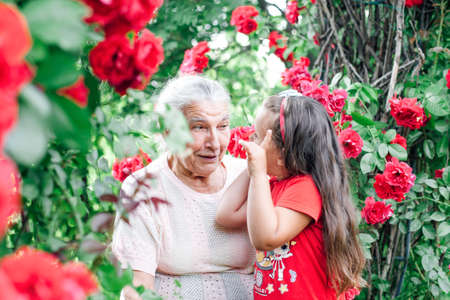 a gray-haired elderly grandmother plays with her five-year-old granddaughter in the garden under an arch of rose flowers on summer vacationの写真素材