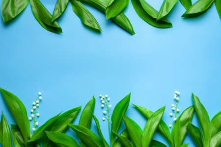 Green leaves and little bouquets of lilly of the valley as a floral border with copy space. Flat lay...