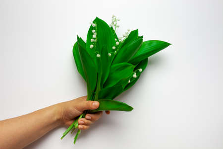 Woman hand hold a lilly of the valley bouquet on the white isolated background. Summer or Mothers...