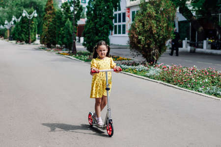 a girl rides a scooter, a family walk on a summer day on scooters, a healthy lifestyle and...