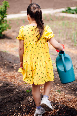 back view of a child carrying a garden watering can in her hand and going to water the plants in the village gardenの写真素材