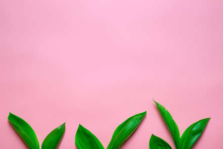 Small green leafes bouquets of lilly of the valley as a floral border on the lower part with copy...