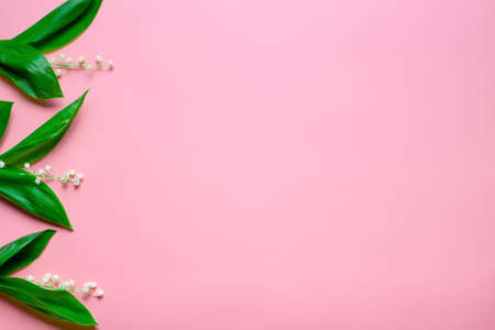 Little bouquets of lilly of the valley as a floral border on the left with copy space. Top view with pink backgroundの写真素材