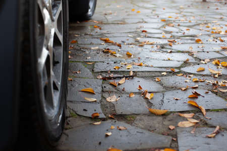 Macro car wheel on stone path near house with wet fallen autumn leaves