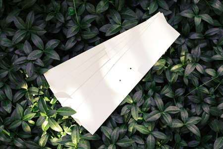 Top view of periwinkle leaf frame and stack of tags for clothing or for sale. Natural concept