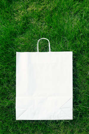creative layout composition frame made of green lawn grass with craft paper bag with handlesの写真素材