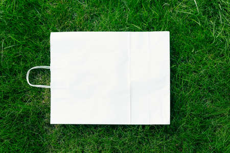 Top view of square frame, creative layout of lawn green grass with craft eco-friendly package with handlesの写真素材