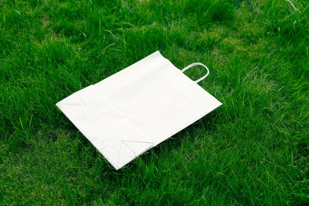 creative layout composition frame made of green lawn grass with craft paper bag with handlesの写真素材