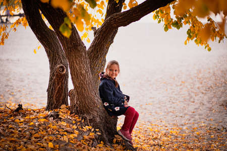 Cute little girl sitting under tree. Child is resting on riverbank, looking at fallen yellow leaves and enjoying walk on sunny autumn day in forestの写真素材