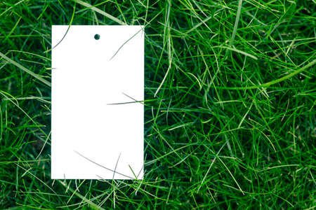 creative layout composition frame made of green grass lawn and white cardboard blank tag flat lay and copy spaceの写真素材