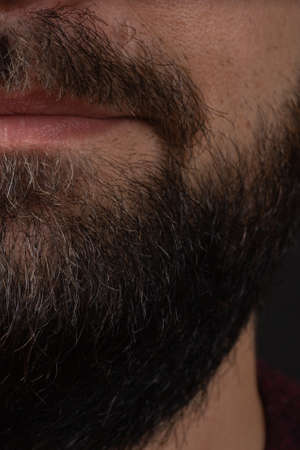 Handsome bearded man close up. Closeup of bearded mans. Male with mustache growing. Perfect beard. Close-up of young bearded man. Close up of handsome beard hipster elegant maleの写真素材