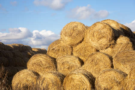 Huge pile of hay rolled in bales positioned on each other looking like spaghetti with few clouds on...