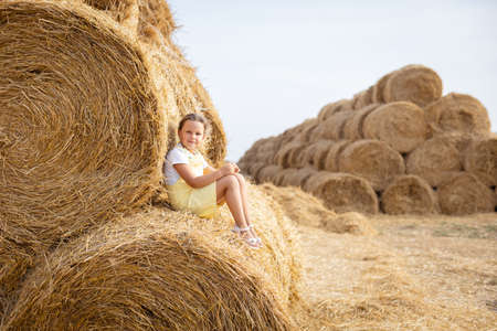 Portrait of joyful female child wearing sundress on high haystack leaning on another haymow with...
