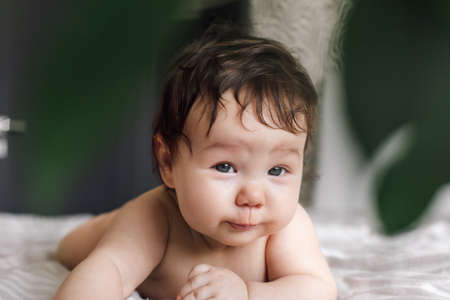 Portrait of naked baby crawling on bed blanket at home, blurry green plant in foreground. Infant child lay on tummy in bedroom, explore world. Selective focus, free copy space. Childcare conceptの写真素材