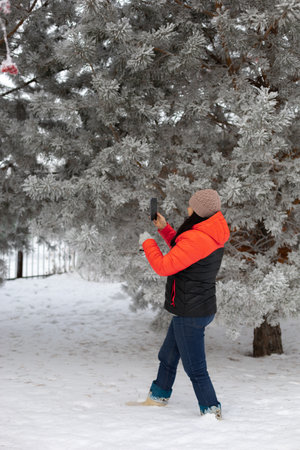 Middle-aged woman taking photo of trees with phone standing on full of snow ground with trees and iron fence in background. Having fun outside in winterの写真素材