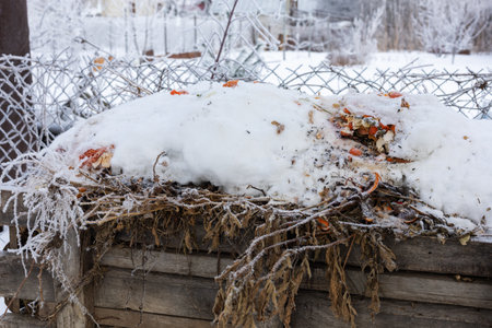Old big box made of woods placed outside on backyard close to mush netting fence full of mulch....