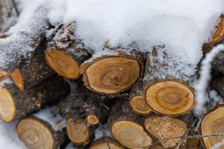 Heap of large firewood for dwelling heating covered with snow laying outside on backyard ground in daytime. Fireplace filler for warm and cozy evenings in winterの写真素材