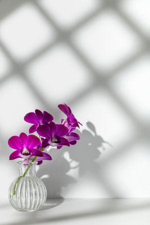 Sprig of purple orchid in transparent vase on white background, free copy space. Flower silhouette and clearly visible shadow mesh on wall. Orchidaceae, minimalist aesthetic, beautiful bloomの写真素材