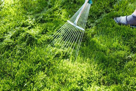 Cropped leg of human raking, detaching pile of fresh grass on green lawn with rake in summer garden....