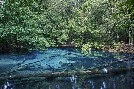 Emerald pool in Krabi province, Thailand. 