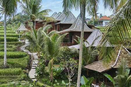 Beautiful hotel with houses near rice terraceの写真素材