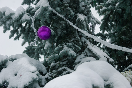 Street Christmas tree decorated with the multicolored balls live tree on the street and a lot of snow on branchesの写真素材