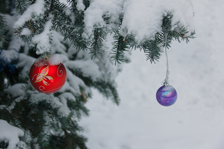 Street Christmas tree decorated with the multicolored balls live tree on the street and a lot of snow on branchesの写真素材