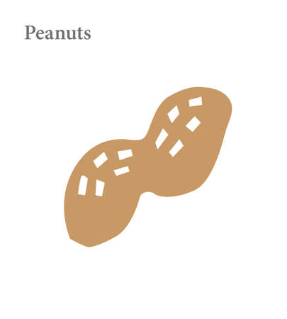 Peanuts vector illustrationのイラスト素材